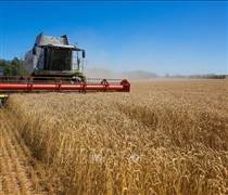 Ba Lan, Hungary và Slovakia phản đối Brussels về thương mại với Ukraine