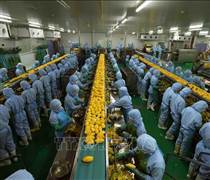 Giữ vững ổn định kinh tế vĩ mô, kỳ vọng tạo đà 'bứt phá' năm 2025