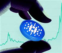 Lượng nắm giữ của cá voi Cardano tăng lên mức cao nhất trong 5 tháng dù giá giảm về 0.60 USD