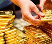 Lập sàn giao dịch vàng: Mô hình nào phù hợp?