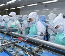 FMC: Doanh thu tháng 10 khởi sắc, hai mảng chính cùng tăng