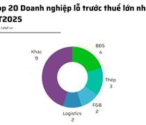 20 doanh nghiệp lỗ lớn nhất 9T2025: Novaland đầu bảng, ngành bất động sản áp đảo, 14 doanh nghiệp lỗ trăm tỷ