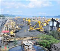 CLM: Lợi nhuận Coalimex giảm mạnh trong quý III/2025