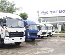TMT: 9 tháng lãi 56,8 tỷ đồng, vẫn gánh lỗ lũy kế 213 tỷ, nợ vay gấp 391% vốn chủ sở hữu