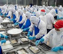 Chủ động và sáng tạo để duy trì đà tăng trưởng xuất khẩu thủy sản