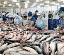 Doanh nghiệp thủy sản đồng loạt báo lãi lớn quý III/2025