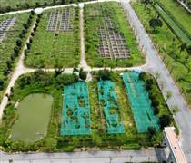 CEO: Hà Nội giao đất cho C.E.O Group làm dự án bất động sản gần 2.300 tỷ tại Mê Linh