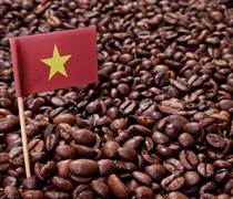 Ngành cà phê Việt Nam đứng trước bước ngoặt lịch sử để vươn lên dẫn đầu thế giới