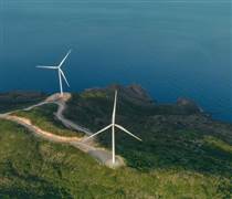 Sôi động thị trường điện gió ở miền Trung