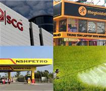 Điểm tin doanh nghiệp: SCG doanh thu 25.300 tỷ, PSH tiếp tục trắng doanh thu