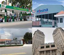 Điểm tin doanh nghiệp: Pomina tiếp tục chuỗi lỗ, Sông Đà 1 bị phạt 92,5 triệu đồng