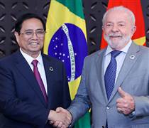 Đơn hàng 700 tấn cá rô phi Việt Nam lần đầu vào Brazil: Ai đứng sau?