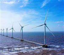 REE: Rót thêm 3.250 tỷ làm điện gió