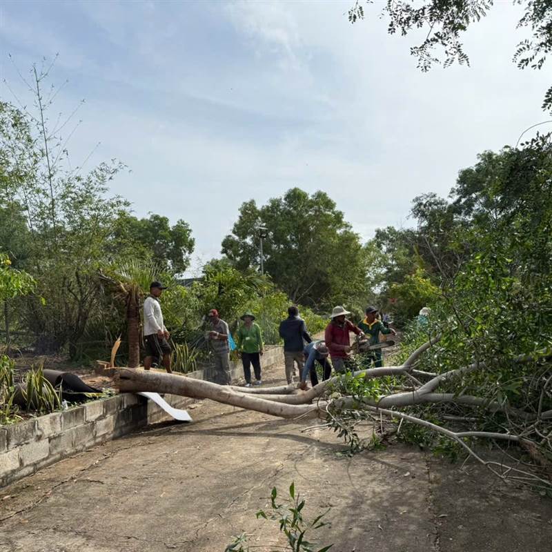 Cưỡng chế resort rộng 6,6ha, xây trái phép ở danh thắng Đồi cát bay Mũi Né