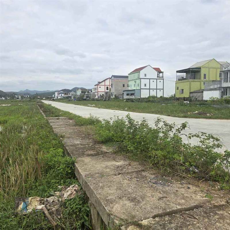 Người dân đề nghị hủy kết quả đấu giá 30 lô đất, chủ tịch xã lên tiếng