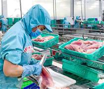Doanh nghiệp thủy sản bứt phá sau giai đoạn trầm lắng