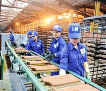 DTC: Viglacera Đông Triều tiếp tục lỗ 6 tỷ, vốn âm hơn 5 tỷ