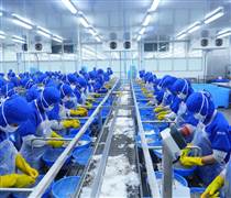 THP: Tổng Giám đốc THP nâng sở hữu lên hơn 57% sau giao dịch với cổ đông lớn