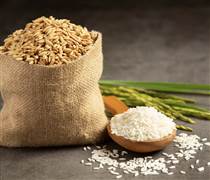 Ngành gạo quý III/2025: Một số doanh nghiệp lãi đột biến, số khác vẫn còn lỗ nặng