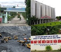 Điểm tin doanh nghiệp: Sabeco tạm ứng 2.500 tỷ cổ tức, HGM vượt xa kế hoạch với tỷ lệ 130%