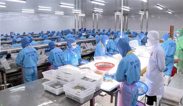 13 doanh nghiệp thủy sản dừng sản xuất vì công nhân nhiễm CO