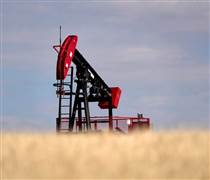 Giá xăng dầu hôm nay (16-11): Tuần tăng giá