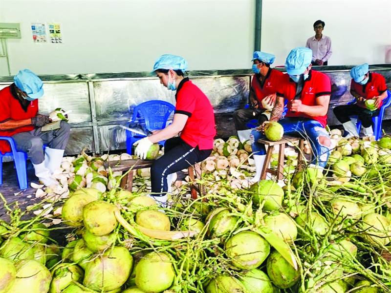 Tín dụng trợ lực cho rau quả xuất khẩu