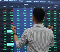 NTH : Sắp "lăn chốt" cổ tức, tổng tỷ lệ 35%, soi lịch sử chia cổ tức tiền mặt "đều như vắt tranh"