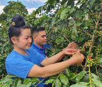 Tổ chức tài chính ngoại mạnh tay rót vốn vào nông nghiệp bền vững của Việt Nam