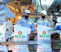 Ngành phân bón lãi kỷ lục