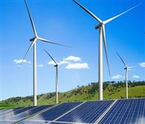 HID: Cổ phiếu HID tăng trần liên tiếp 5 phiên, Halcom có gì?