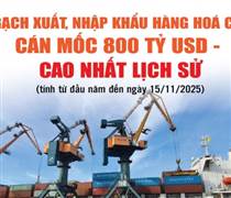 Infographics: Tổng kim ngạch xuất, nhập khẩu hàng hóa cả nước đạt hơn 801 tỷ USD