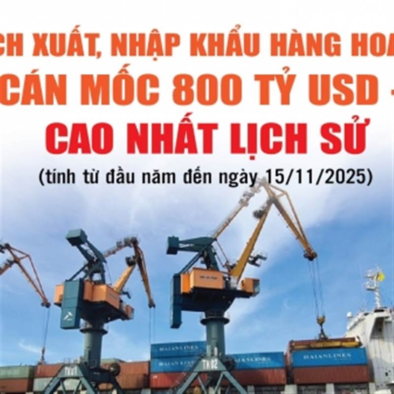 Infographics: Tổng kim ngạch xuất, nhập khẩu hàng hóa cả nước đạt hơn 801 tỷ USD