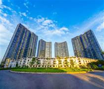 SSH: Sunshine Homes và công ty con vừa chuyển nhượng gần 1.500 tỷ đồng cổ phần