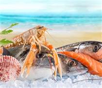 Chuyên gia Agriseco điểm tên 2 cổ phiếu thủy sản có lợi thế vượt trội, dự báo duy trì tăng trưởng cao thời gian tới