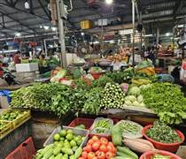 Nguồn hàng miền Trung dần phục hồi sau lũ, TP Hồ Chí Minh tiếp tục đợt tăng giá rau mạnh