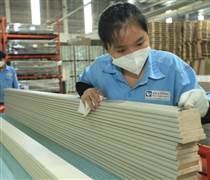 ACG: Tạo sức bật từ nội địa