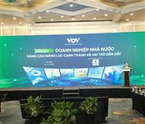 Doanh nghiệp nhà nước phải là "sếu đầu đàn" dẫn dắt cuộc chơi