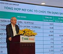 HAG: Bầu Đức nói HAGL đang có 'bức tranh tài sản đẹp như mơ', sắp IPO công ty nông nghiệp ở Lào