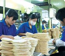 Đấu giá 6,38 triệu cổ phần Giầy Thượng Đình: Tiềm năng từ khu đất vàng 277 Nguyễn Trãi