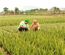 GCF: ‘Vua Nha đam’ đạt TOP 30 Doanh nhân trẻ Việt Nam tiêu biểu 2025