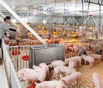 DBC: Bị xử phạt vì loạt vi phạm