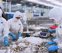 “Dò sóng” cổ phiếu thủy sản, dệt may