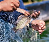 ANV: Thêm động lực cho ANV