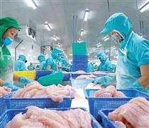 Xuất khẩu thủy sản sang Mỹ biến động do ‘ngấm’ thuế đối ứng