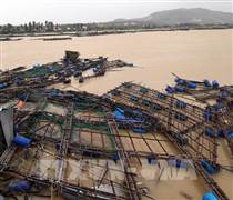 Nỗ lực cho mục tiêu tăng trưởng