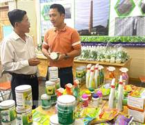 Hợp tác công – tư: “Chìa khóa” kích hoạt lại hệ thống khuyến nông