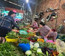 Rau trái về TPHCM tăng dần, nhiều loại chỉ 10.000 đồng/kg