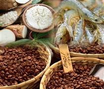 Xuất khẩu nông lâm thủy sản tăng tốc cuối năm