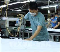 Liên kết SMEs với doanh nghiệp lớn để đột phá chuỗi cung ứng